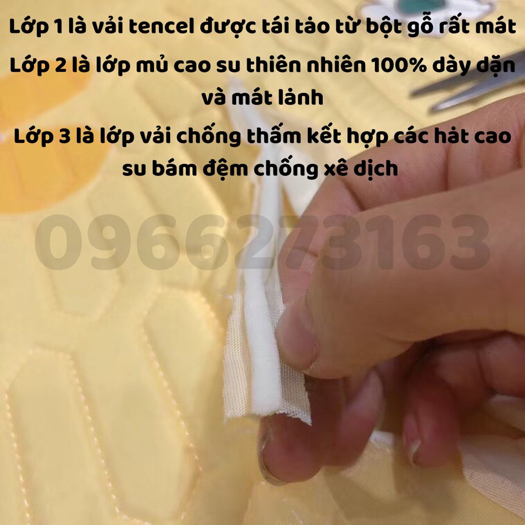 Chiếu Điều Hòa Cao Su Non Latex Hàng Nhập Khẩu Hàng Có Sẵn