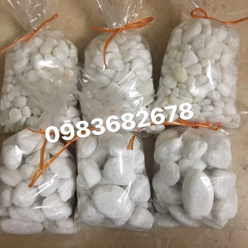 Sỏi trắng trang trí cây trồng