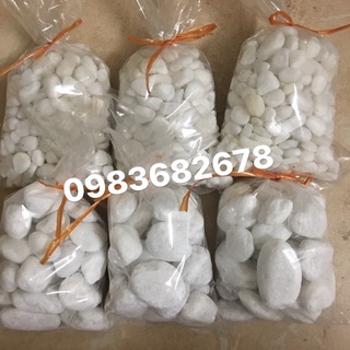 Sỏi trắng trang trí cây trồng