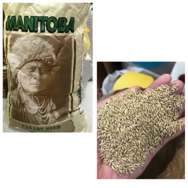 500g Hạt láng yến cho chim vẹt nhỏ .