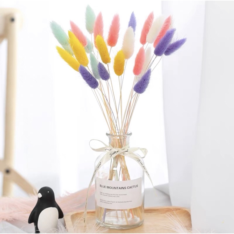 Hoa khô Cỏ đuôi thỏ trang trí décor bàn làm việc, phòng ngủ, chụp hình phong cách Bắc Âu