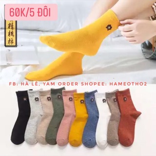 SET TẤT CỔ CAO PHONG CÁCH HÀN QUỐC