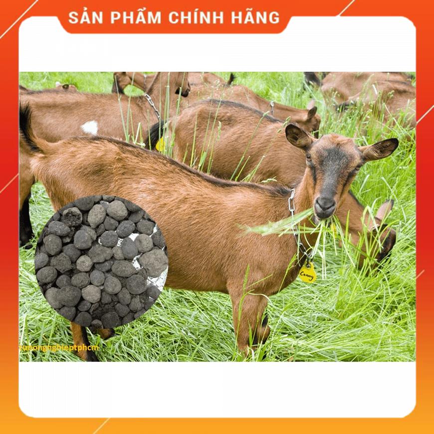 Phân dê đã qua xử lý dùng bón cây cảnh hoa lan–1kg MSP37289