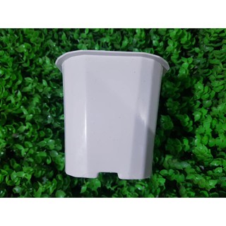 Chậu nhựa 6k/cái