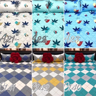 Bộ Ga Mền cotton Thắng Lợi (nệm <23p)