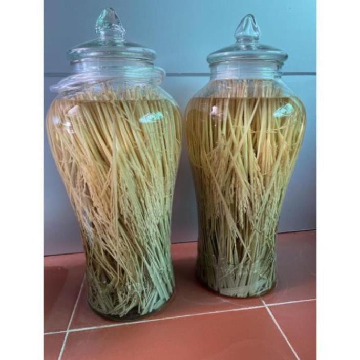 1kg Đòng đòng lúa nếp ngâm rượu