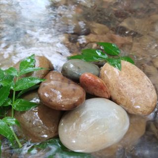 Đá Kỳ Tắm Tự Nhiên( Thánh tẩy tế bào chết)