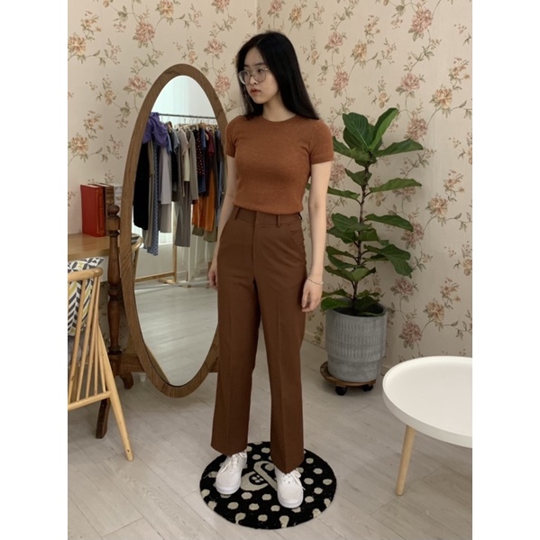 Áo Fitted Nâu | BigBuy360 - bigbuy360.vn