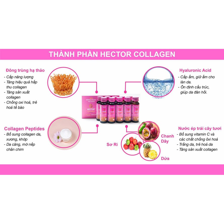 (Tặng nhỏ mắt rohto nhật)Nước uống collagen Hector Đông Trùng Hạ Thảo Hộp 10 Chai | BigBuy360 - bigbuy360.vn