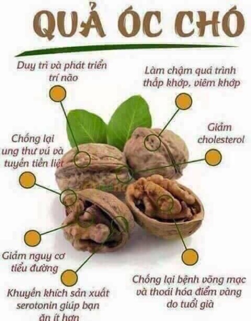 Óc chó khô núi rừng sapa 1 kg