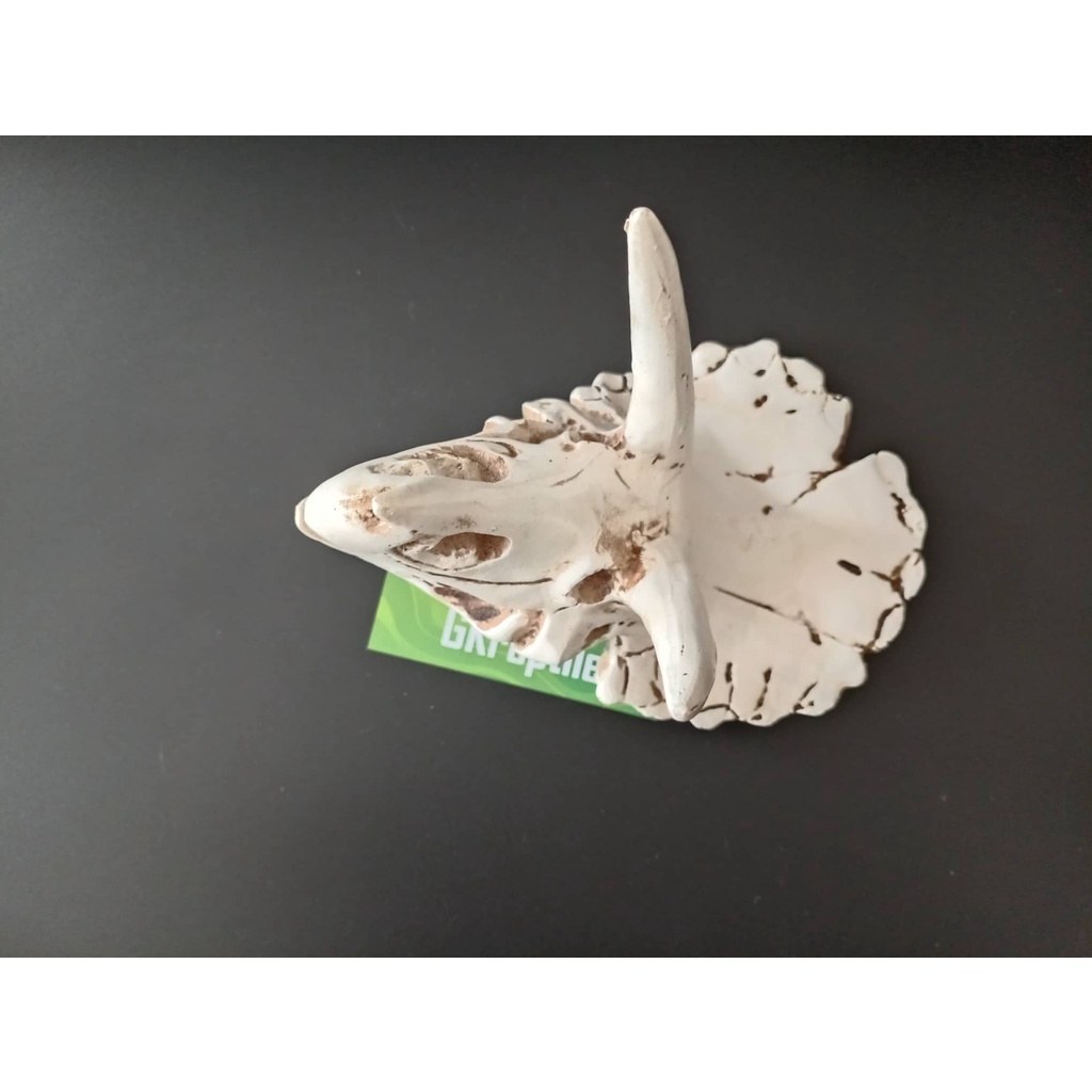 Mô hình trang trí sọ khủng long cho chuồng nuôi