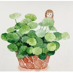 Cuộc sống của Jane