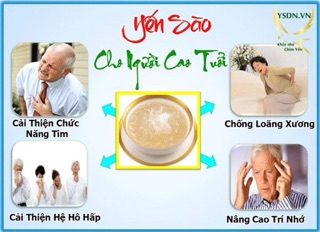 Yến Sào Tổ yến