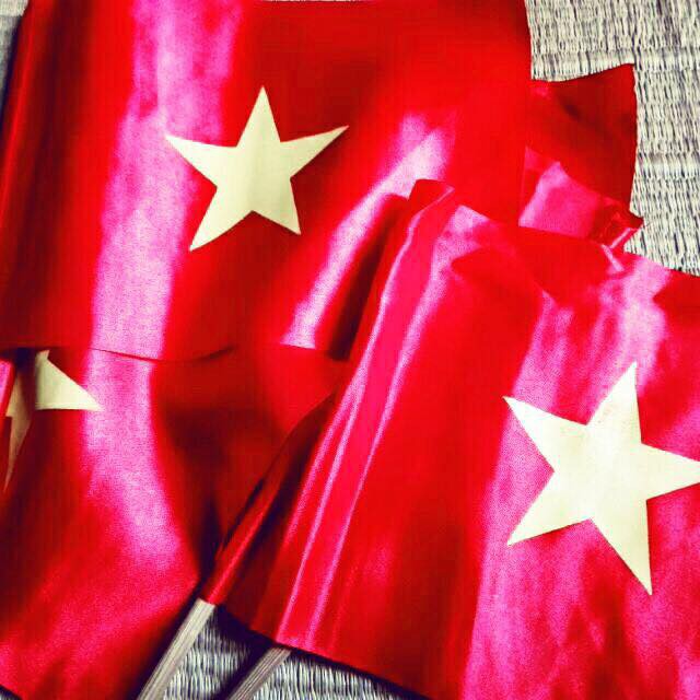 50 cờ vẫy + cán.