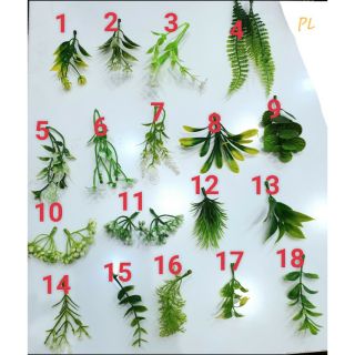 1 kg Cỏ điểm hoa và lá mới 2020 ( nửa kg)