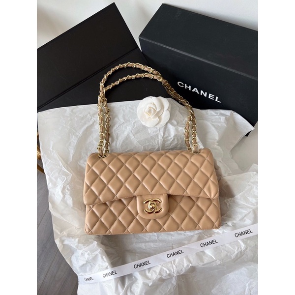 _ Túi xách đeo sành điệu 2021- CN510