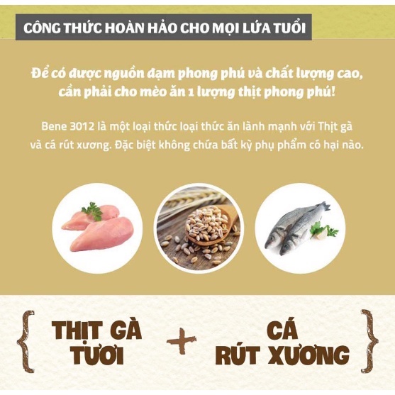 Hạt Natural Core Bene C3 - Hạt Cho Mèo Trưởng Thành Trên 1 Tuổi
