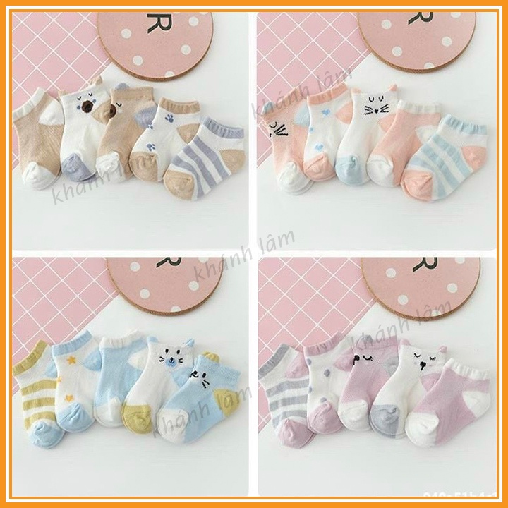 Set 5 đôi tất lưới Robibabi TAT03