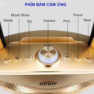 Loa karaoke mini di động SD-306 loa hát âm lớn, hát karaoke hay/Tặng Kèm 2 Mic Không Dây