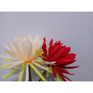 🌺[Order] Hoa lụa chụp ảnh