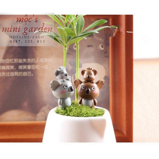 Tiểu cảnh mini_Cặp đôi gấu Koala_GU493