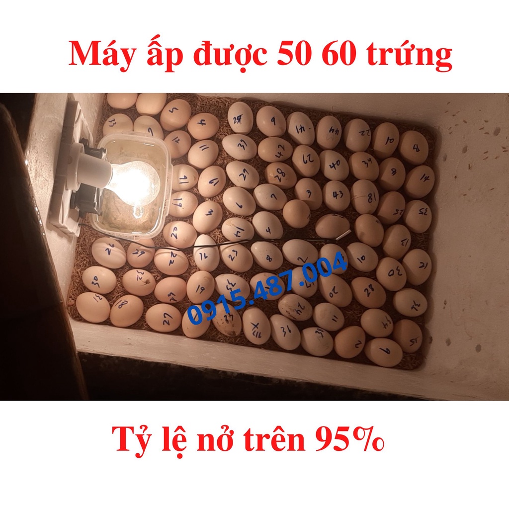 Máy ấp trứng Tuấn Trình