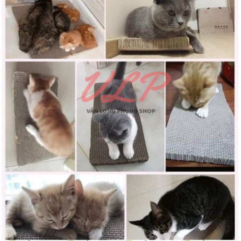 Bàn cào móng cho mèo / đồ chơi cho mèo