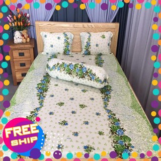 [XẢ HÀNG] Bộ Drap Thun Màu Hàn Quốc Mát Lạnh