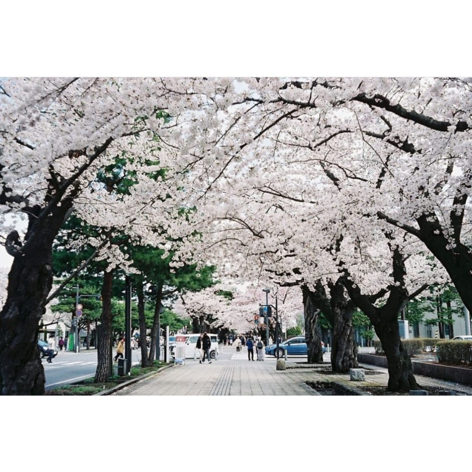 MÁY ẢNH FILM ROLLEI B35