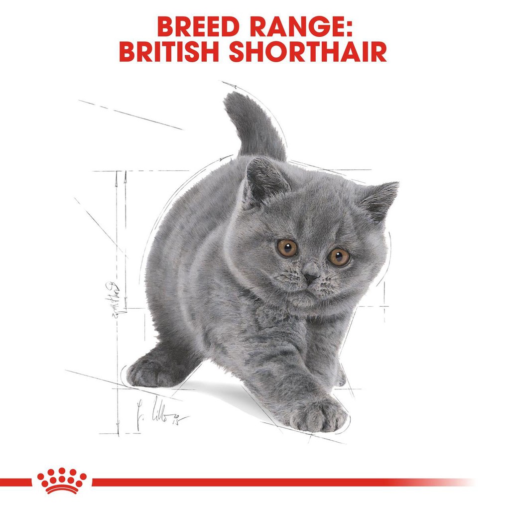 [400g] Hạt Cho Mèo Con Anh Lông Ngắn Royal Canin British Shorthair Kitten