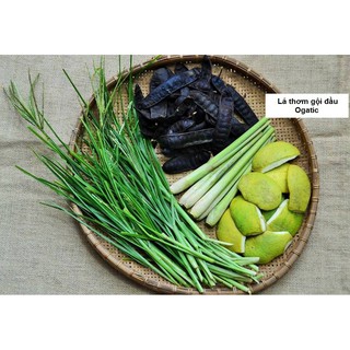 Lá thơm gội đầu OGATIC