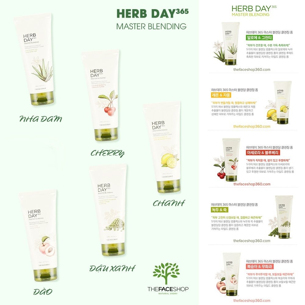 Sữa rửa mặt The Face Shop Herb Day 365 Master Blending Foaming Cleanser 170ml