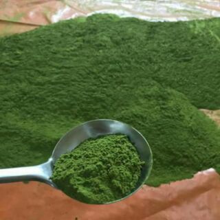 Combo 1kg bột trà xanh nguyên chất