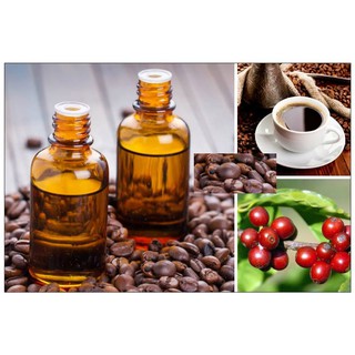 Tinh dầu thơm xông phòng nguyên chất hương Cafe ( Đen ) Lọ 50ml