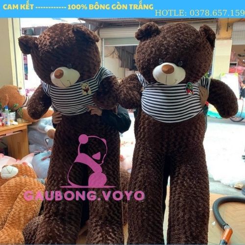 Gấu TEDDY nhồi bông mềm dễ thương cao 1m2-1M8 cam kết kích thước chuẩn.GAUBONG.VOYO