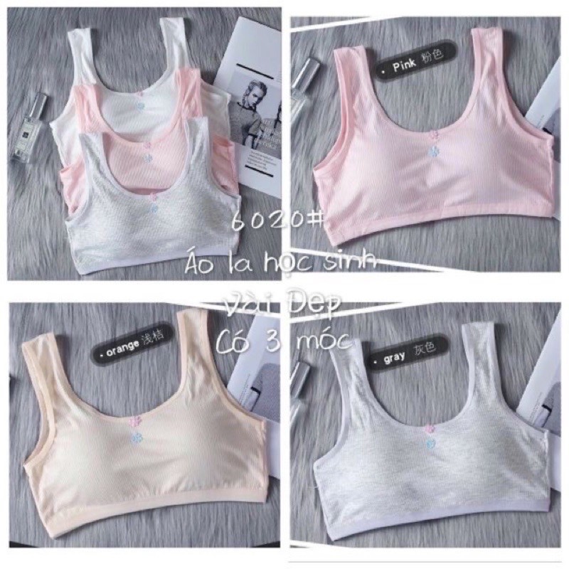 Áo lá học sinh đi học có móc cài [Siêu Sale [Ảnh thật [Chính hãng | BigBuy360 - bigbuy360.vn