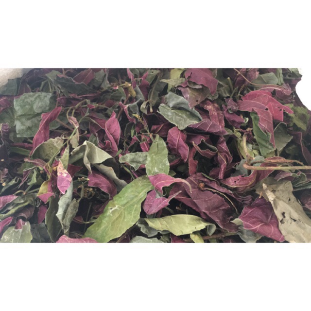 [GIÁ BUÔN] 1kg Lá đơn đỏ trị mẩn ngứa (khô sạch) | BigBuy360 - bigbuy360.vn