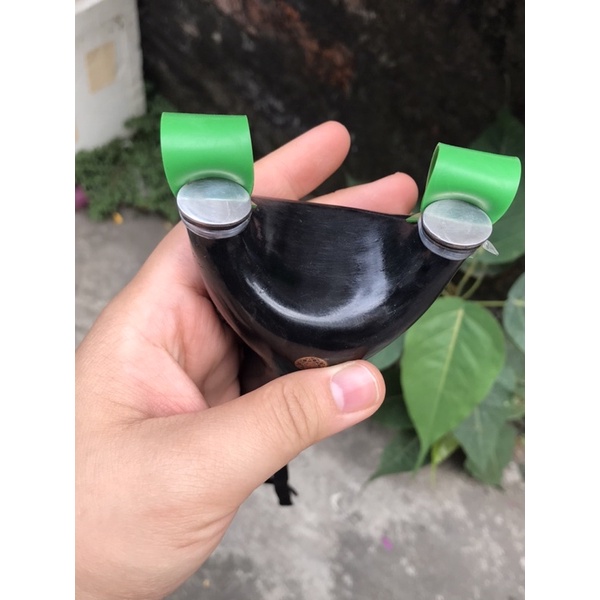 Ná gỗ mun sừng