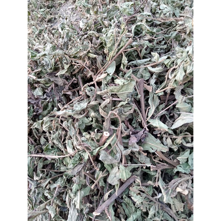 Các loại thảo mộc xông nhà cho bếp đốt bồ kết
