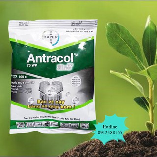 Thuốc Trừ Bệnh Thán Thư, Vàng Lá, Thối Rễ, Đốm Lá, Bảo Vệ Cây Trồng ANTRACOL 70WP