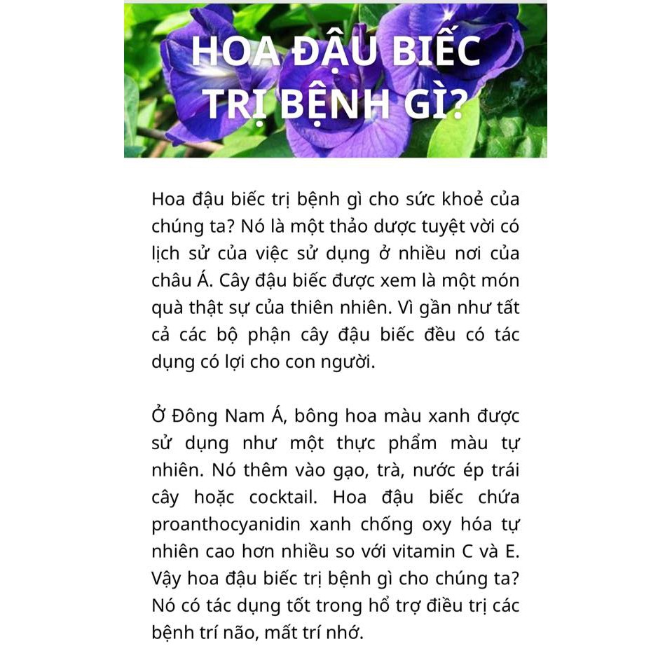 Bột Hoa Đậu Biết Behena nguyên chất 100% thanh mát thải độc, tốt cho người tiểu đường - Hộp 50g