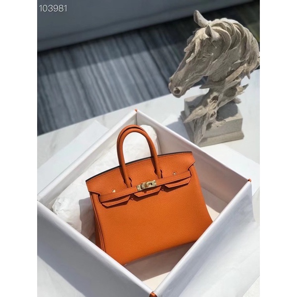 Túi hm bikin size 25cm da bò fullbox