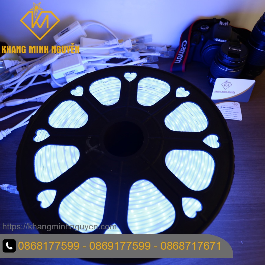 [Bán giá sỉ] Led dây 220V 2 hàng bóng - bọc chống nước - Trắng - Vàng - Xanh dương - dùng trang trí trần, quấn thân cây