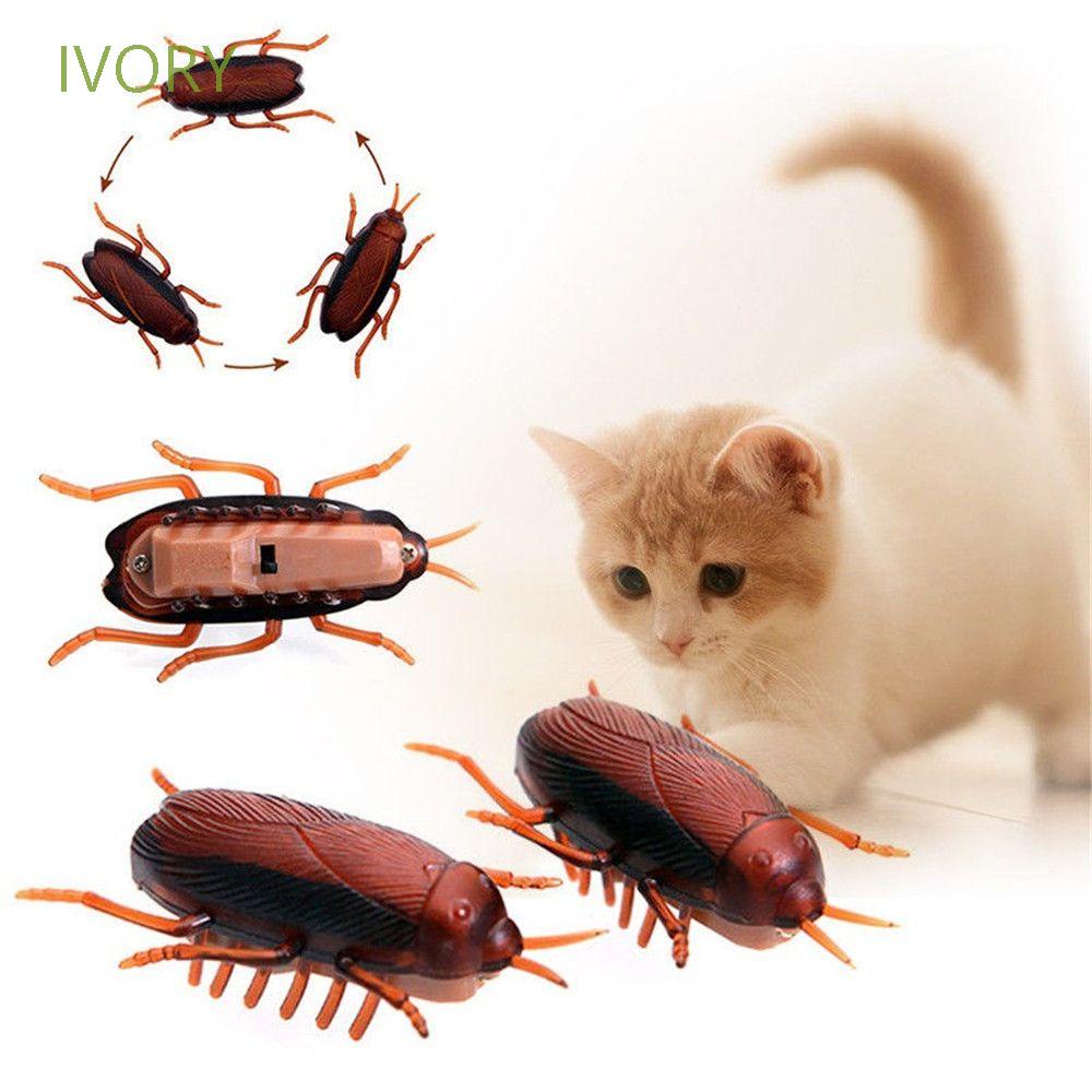 Gián đồ chơi chạy bằng pin ngộ nghĩnh vui nhộn cho mèo cưng