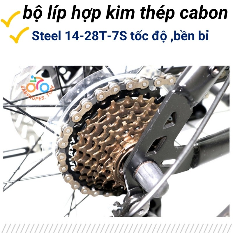 Xe đạp địa hình thể thao Borgki 24 và 26inch