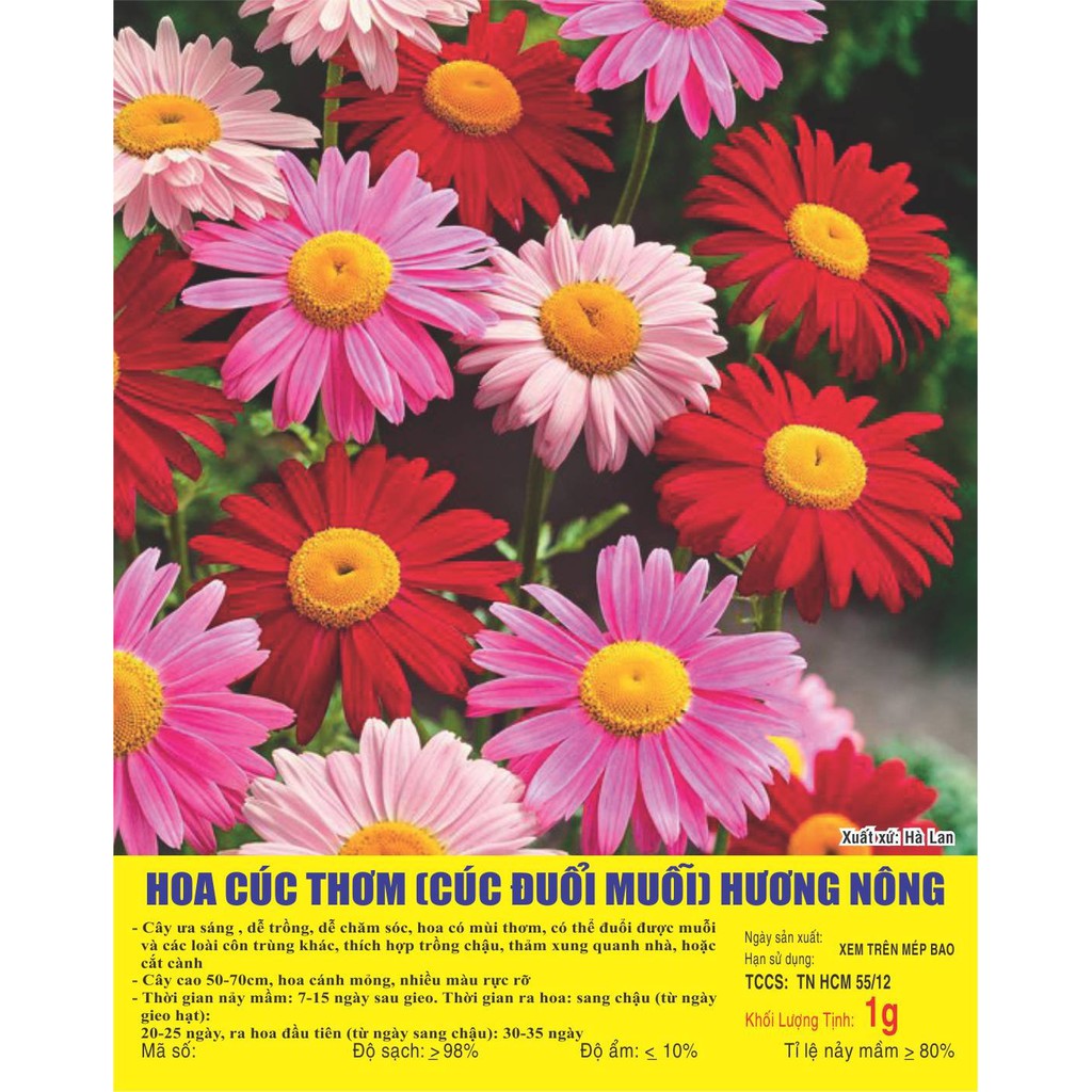 Hạt Hoa CÚC thơm (Cúc đuổi muỗi) - Gói 1 gram