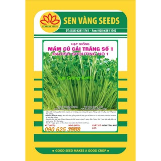 Hạt giống Rau Mầm Củ Cải Trắng 20Gr Giàu dinh dưỡng Dễ trồng