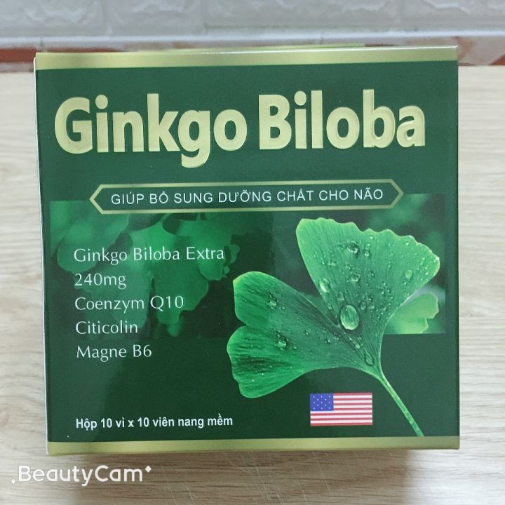 HOẠT HUYẾT DƯỠNG NÃO GINKGO BILOBA 240MG - GIÚP BỔ SUNG DƯỠNG CHẤT CHO NÃO - TĂNG CƯỜNG TUẦN HOÀN MÁU NÃO - HỘP 100 VIÊN