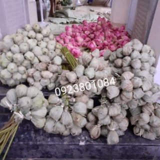 Chè sen Tây Hồ-Chè sen