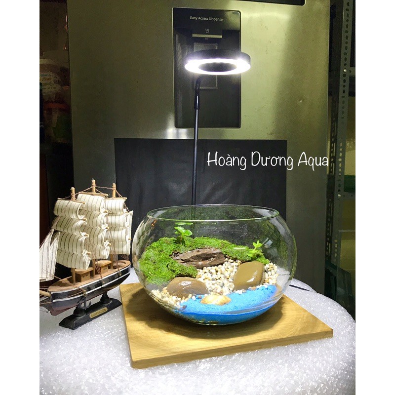 BỂ CÁ TRÒN ĐỂ BÀN - GỒM TOÀN BỘ THIẾT KẾ NHƯ HÌNH